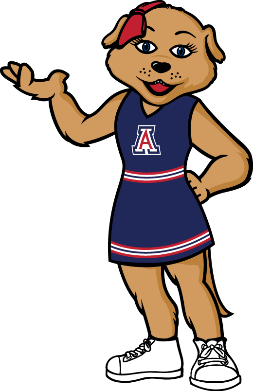 Arizona Wildcats 2013-Pres Mascot Logo iron on transfers for clothing